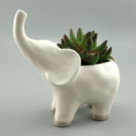 слоновая плантационная ваза