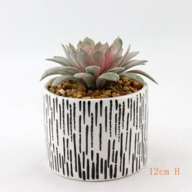белые и черные расписные керамические настольные мини-сочные горшочки с растениями