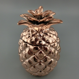 розовое золото керамический контейнер для хранения ананаса