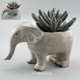 слон суккулентный плантатор керамический животный горшок